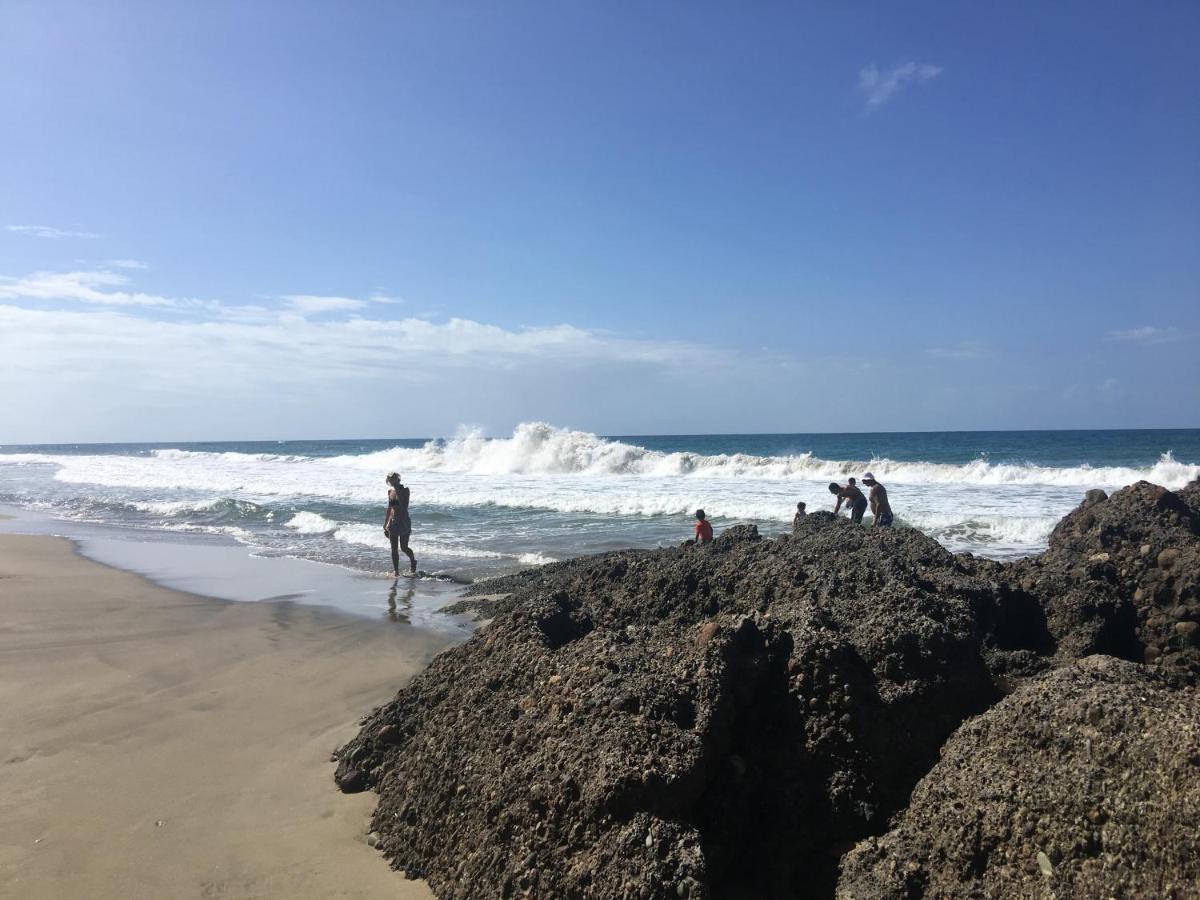 Gigi Brown Villa Paparazzi Beachfront Puerto Viejo de Talamanca エクステリア 写真